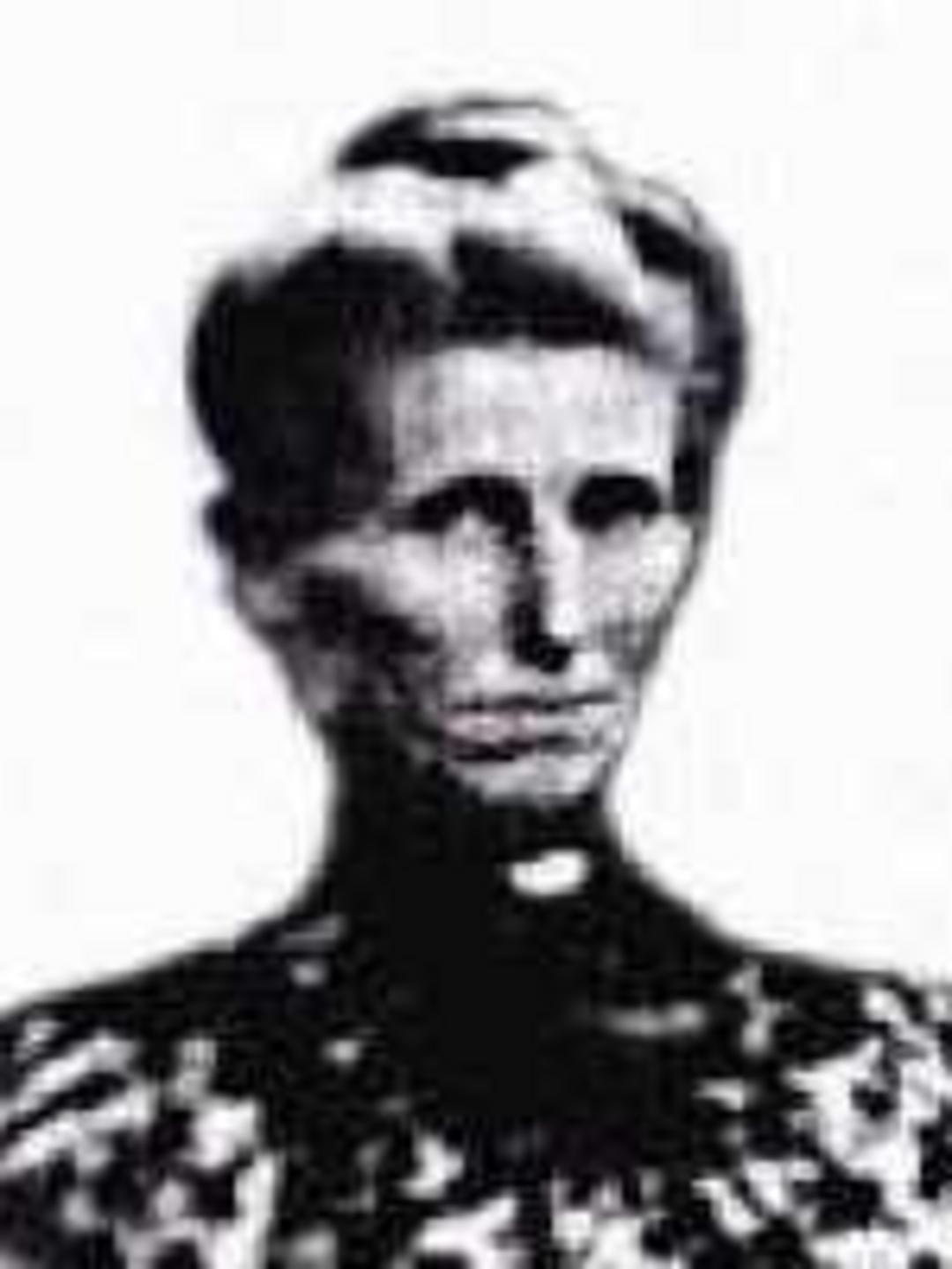 Lydia Ann Curtis (1848 - 1862) Profile